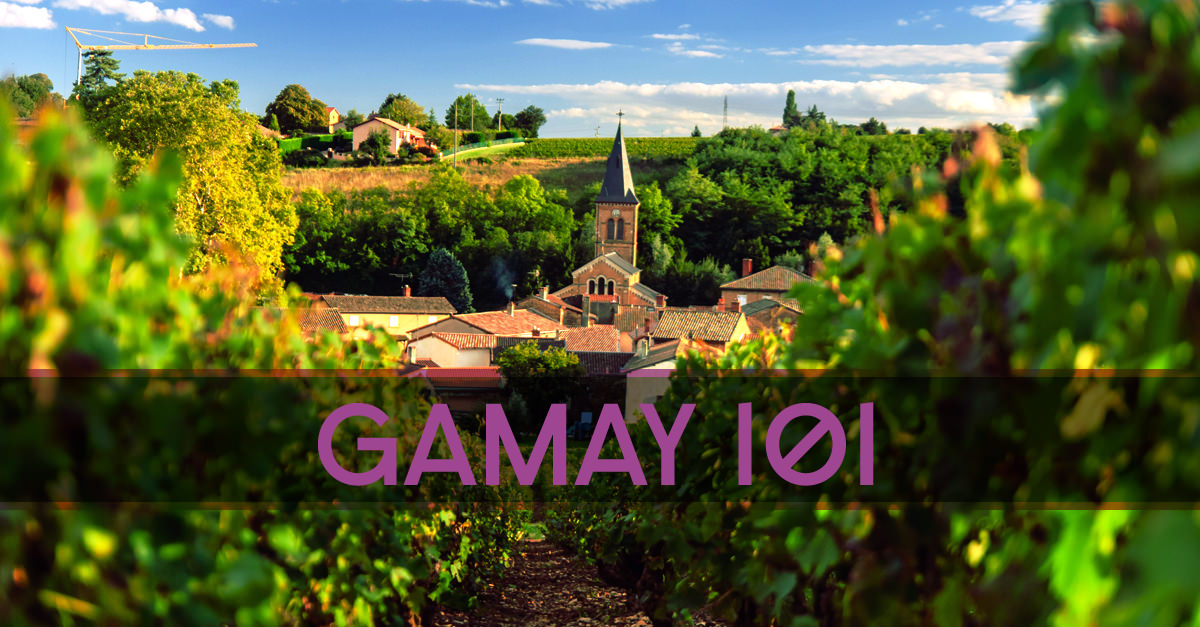 Learn About Gamay Red Wine, Often From Beaujolais
