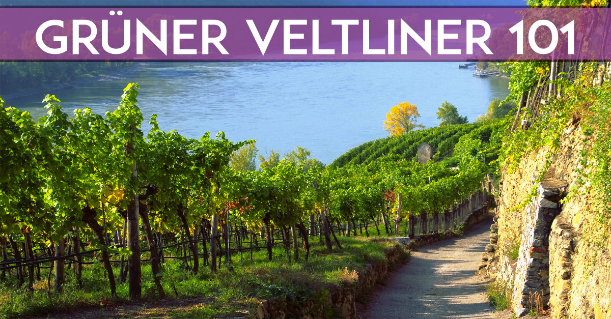 Grüner Veltliner White Wine Guide