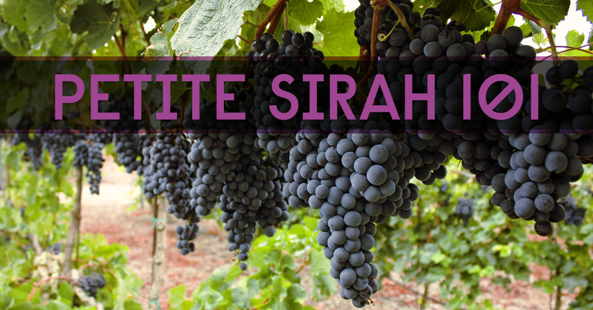 Petite Sirah Wine Guide | Learn About Petite Sirah