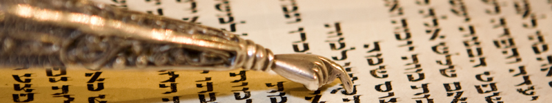 How many words are there in the Torah for alcohol?