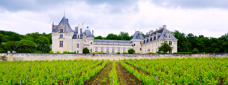 The French Wines To Drink Before You Die