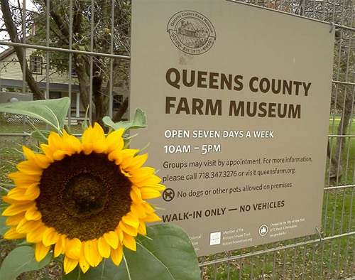 Queens County Farm Museum Winery