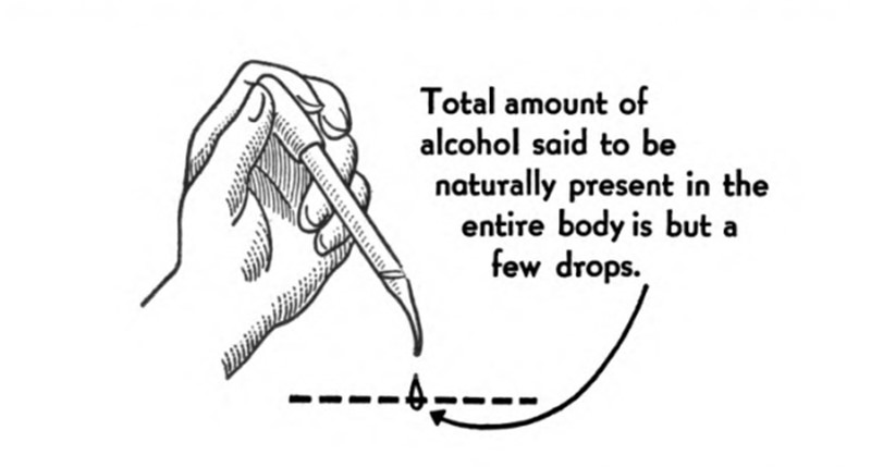 These are funny cartoons about alcohol