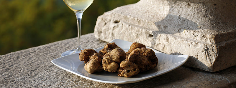 Israel is learning how to farm truffles