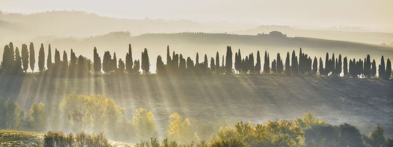Understand the wine designations of Tuscany