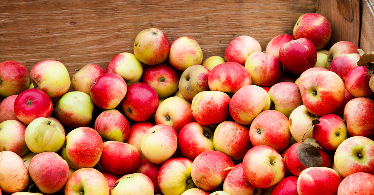 Guide To Hard Cider