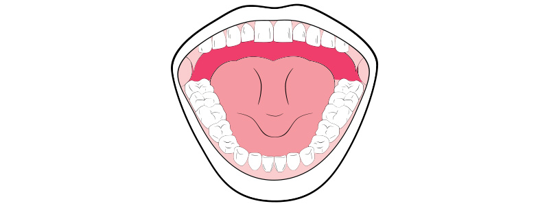 This is what a supertaster is