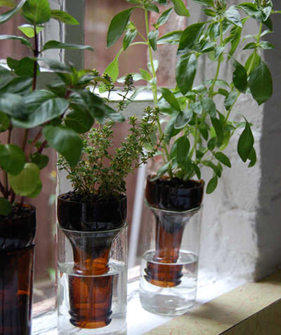bottle-planters