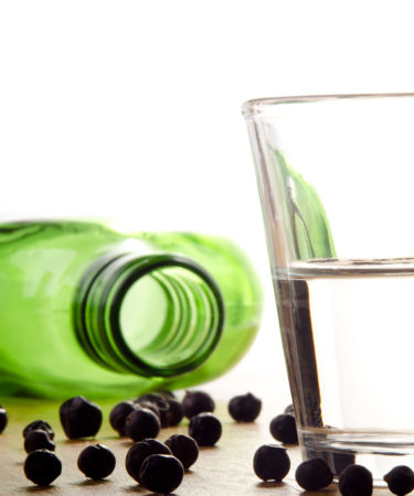 11 Things You Didn’t Know About Gin