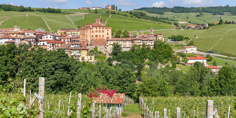 The essential guide to Barolo