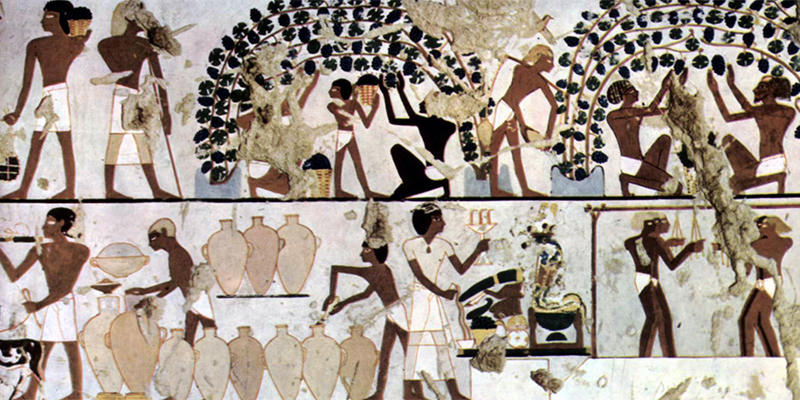 The First Wine Label Was Invented In Egypt