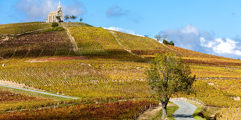 A Personality Guide To The 10 Crus Of Beaujolais