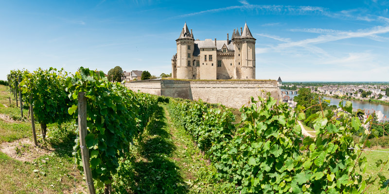 Love Rosé? You Need To Try The Light Reds Of The Loire Valley