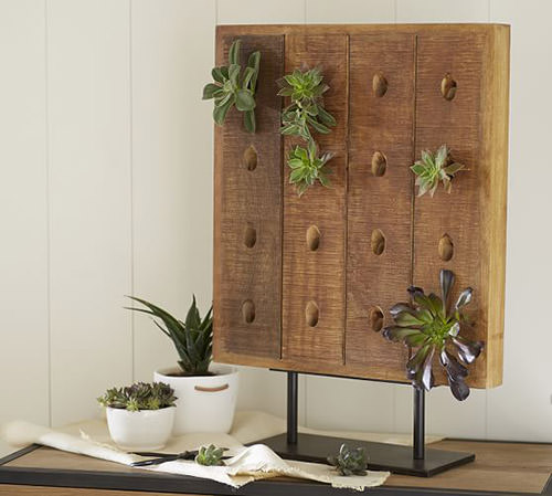 Wine Rack Succulents