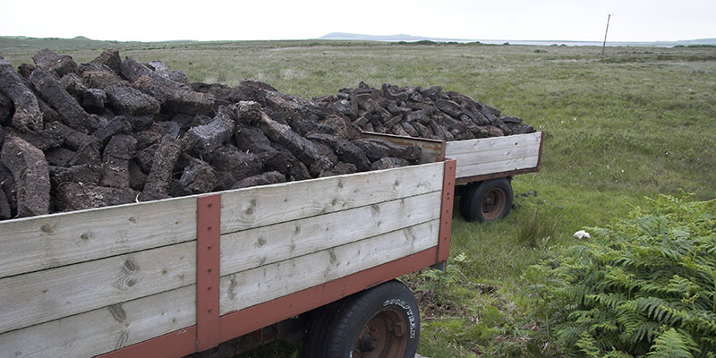 Peat Is The Lazy Thing That Makes Whiskey Awesome