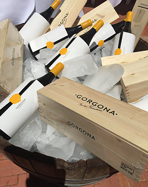 Bottles Of Gorgona Wine