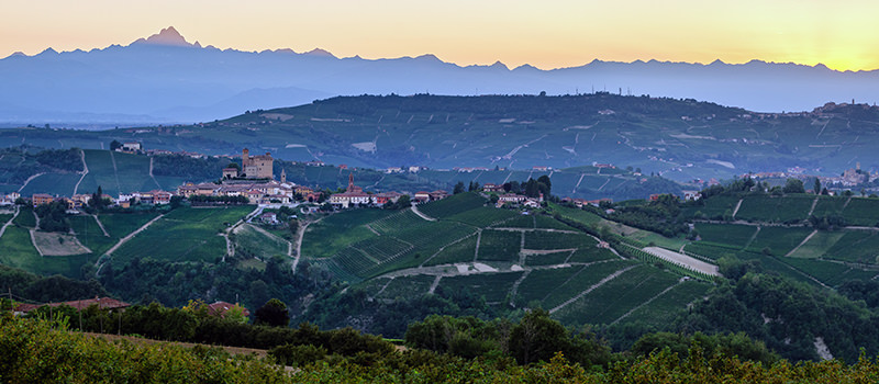 Barolo vineyards in Serralunga d'Alba at dawn