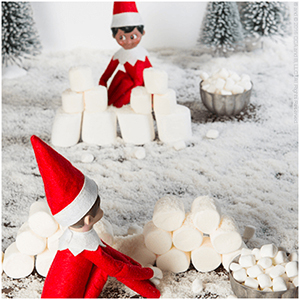Elf on the Shelf