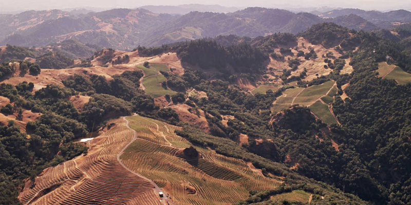 Why So Many Great Vineyards Are On Hills