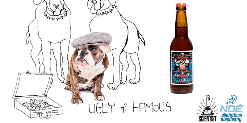 Brewery Offers Free Cases of Beer for Adopted Dogs