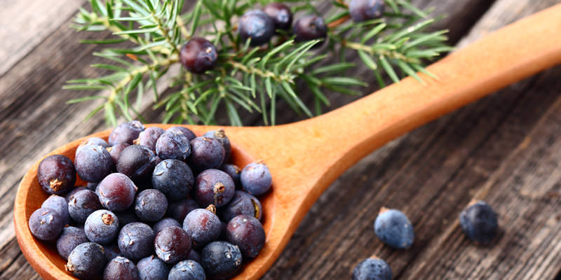 Have No Fear, Gin Drinkers-- Your Berries Are Safe in the UK