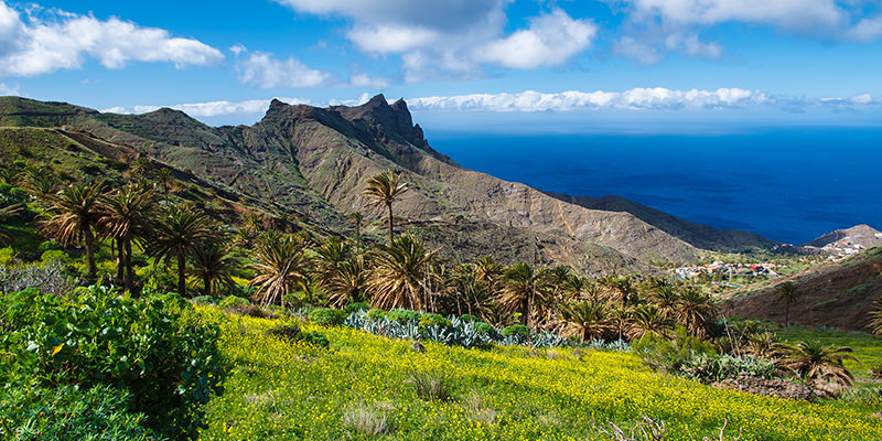 Canary Islands is one of the 7 Off the Beaten Wine Regions to Visit in 2017