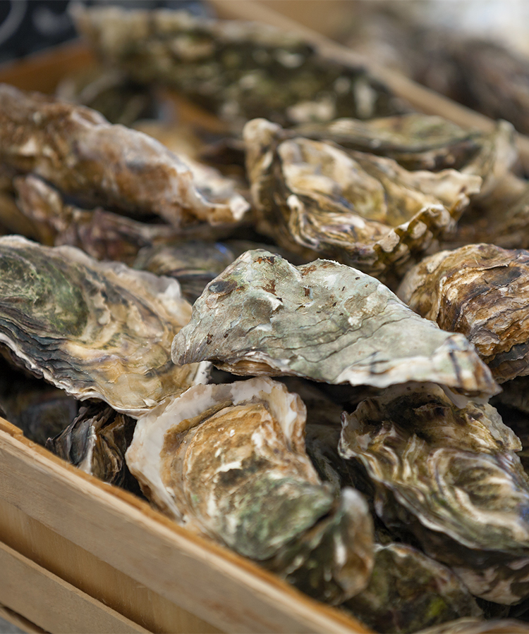 Everything You Need to Know About Oyster Stouts