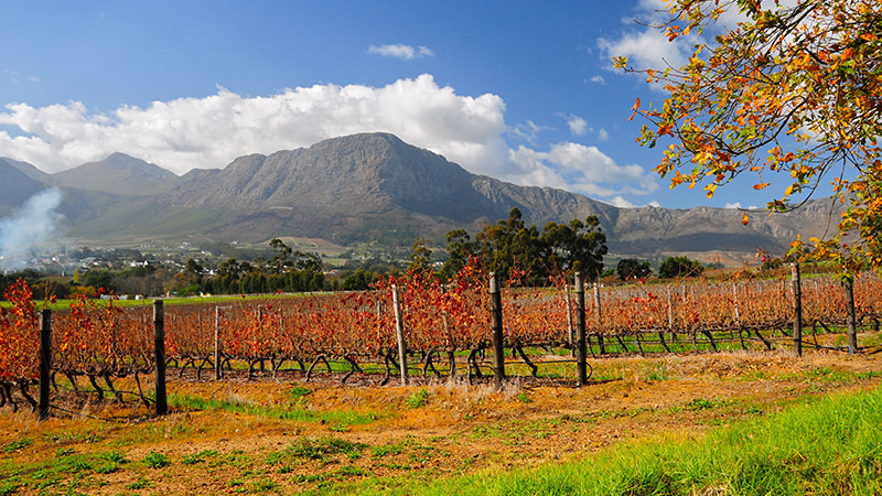 Franschhoek, South Africa is a Magical Wine Region to Visit In Your Lifetime