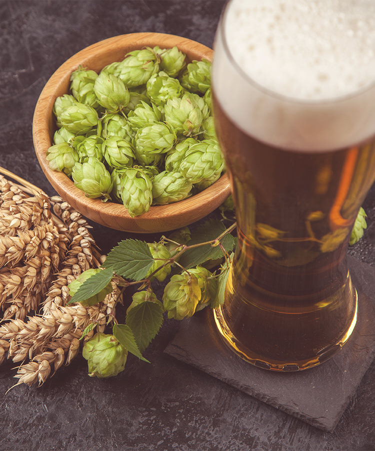 11 Questions About IPA You’re Too Embarrassed to Ask, Answered