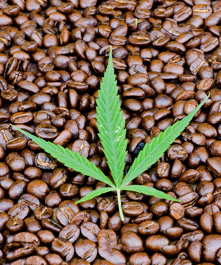 Marijuana Keurig Pods are Now Available