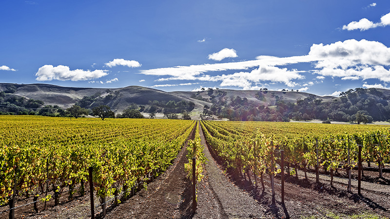 Santa Barbara is one of the top ten most incredible American wine regions to visit this summer
