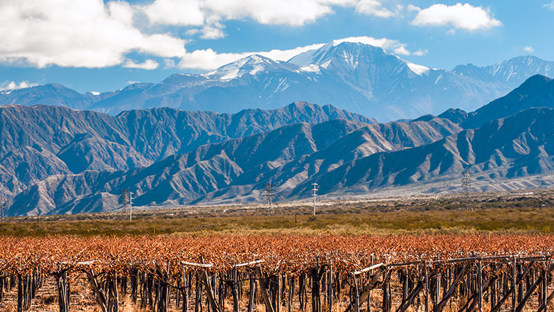 Mendoza, Argentina is a Magical Wine Region to Visit In Your Lifetime