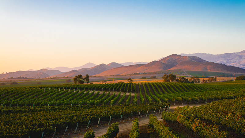 Santa Ynez Valley, California is a Magical Wine Region to Visit In Your Lifetime
