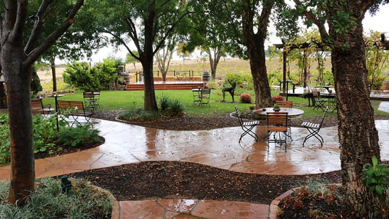 Paso Robles Castoro Winery is one of 4 Family Friendly Wineries to Visit With Your Kids