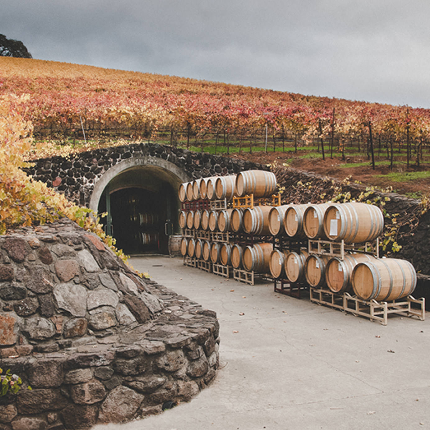 Every Wine Lover Should Have a Wine Cave