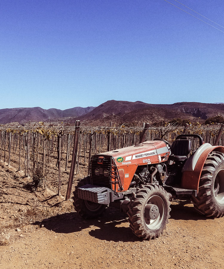 Go Way off the Beaten Path in Bolivia’s Wine Country
