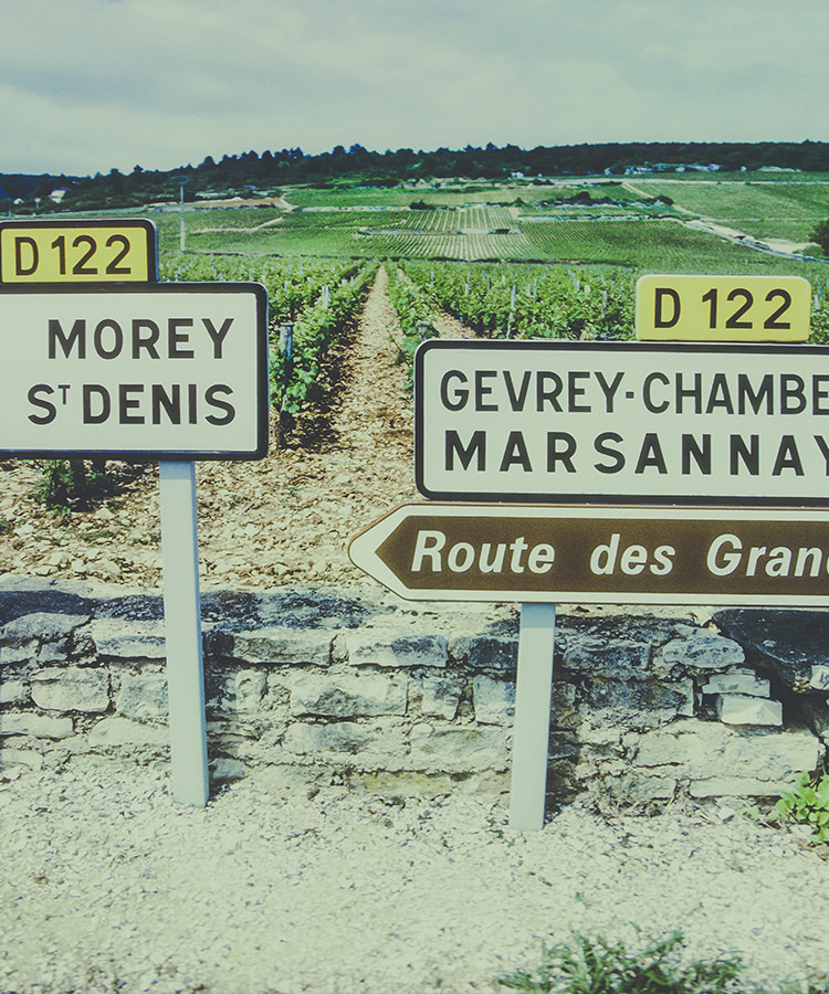 Burgundy – A Guide To Burgundy Wines