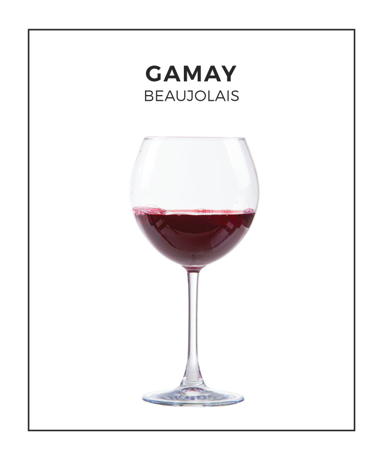 An Illustrated Guide to Gamay From Beaujolais