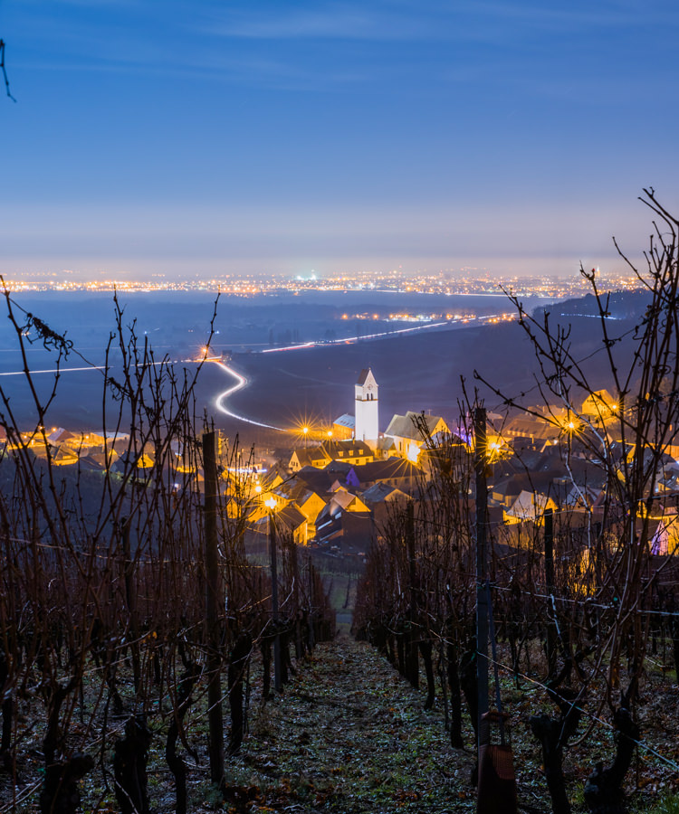 We Asked Four Sommeliers: Why Do You Reach for Wines From Alsace?