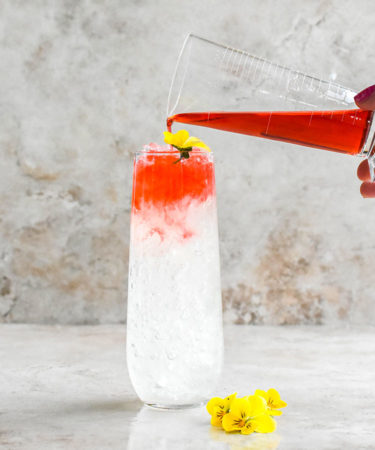 The Pomegranate Gin & Tonic Recipe