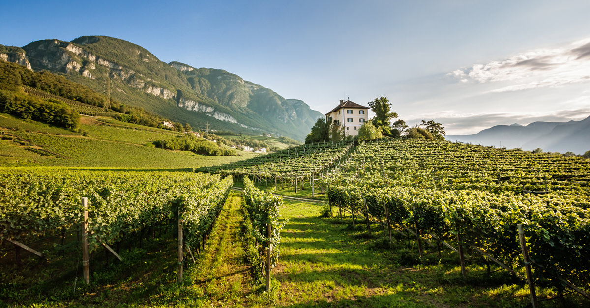 Alto Adige – Südtirol 101