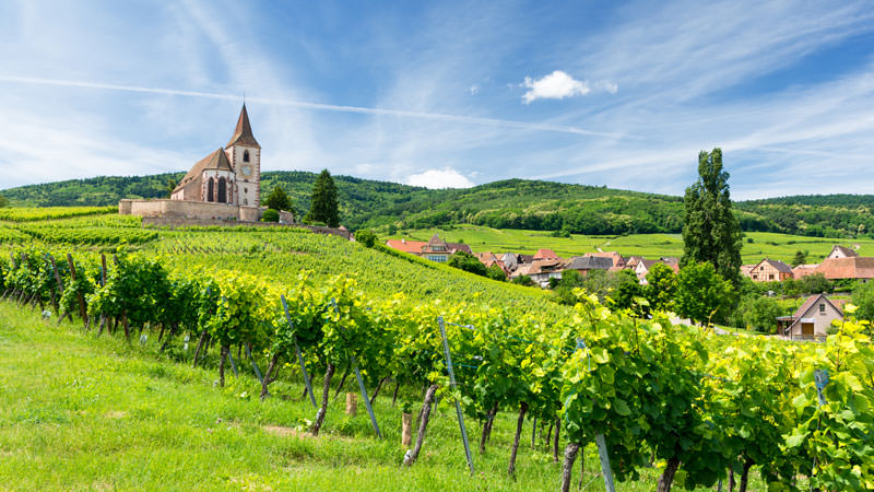 Alsace is a Riesling region.