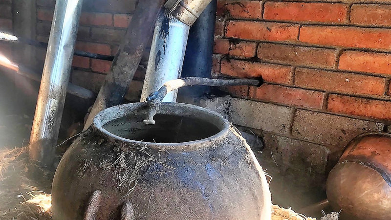 Go inside a Mexican distillery making mezcal with pre-Hispanic technique.