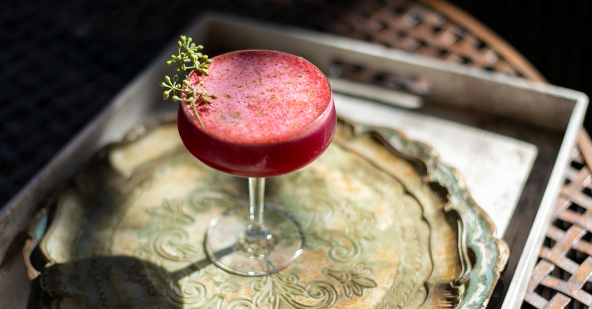 Herbaceous and earthy, this gin cocktail gets its froth from kombucha, and its lovely color from beet juice. Learn how to make the recipe!