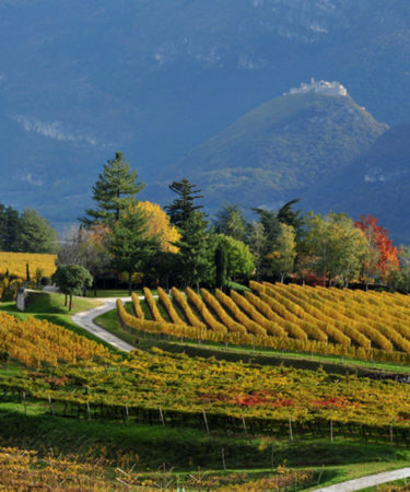 A Beginner’s Guide to Trentino, Northern Italy’s Wine Mecca