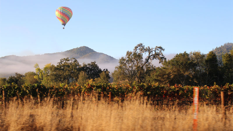 Napa Valley is one of the best wine vacation destinations!