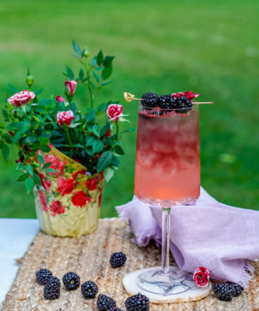 The Rosé Blackberry Spritz Recipe Recipe