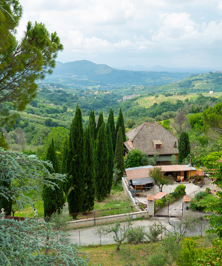Here’s Everything to Discover in Italy’s Lugana Region