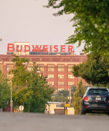 A TV Series Chronicling Anheuser-Busch Family Story Is Coming
