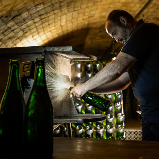 Almost One Year In, Corpinnat Strains to Make Its Case as Higher-Quality Cava